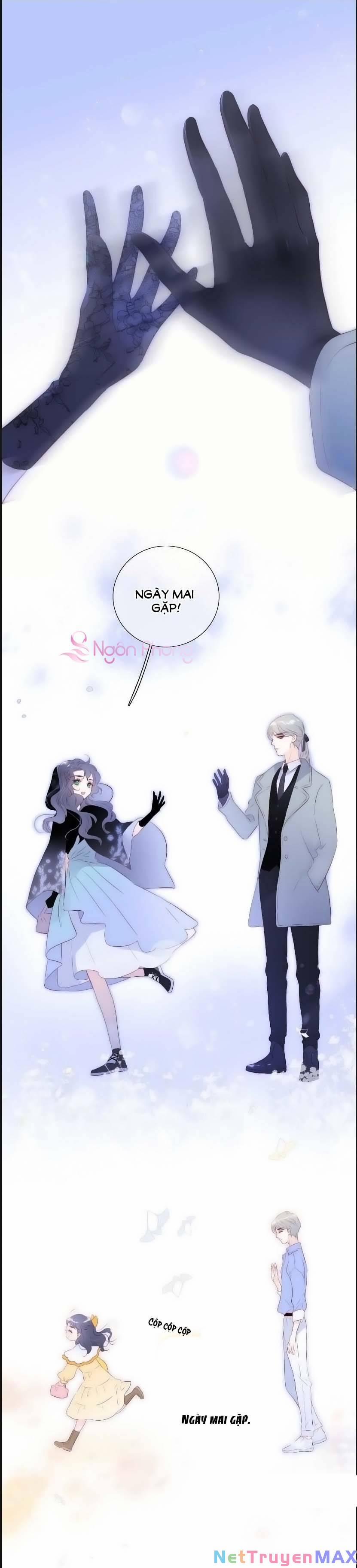 Hoa Bỏ Chạy Với Nhím Rồi 102 trang 17