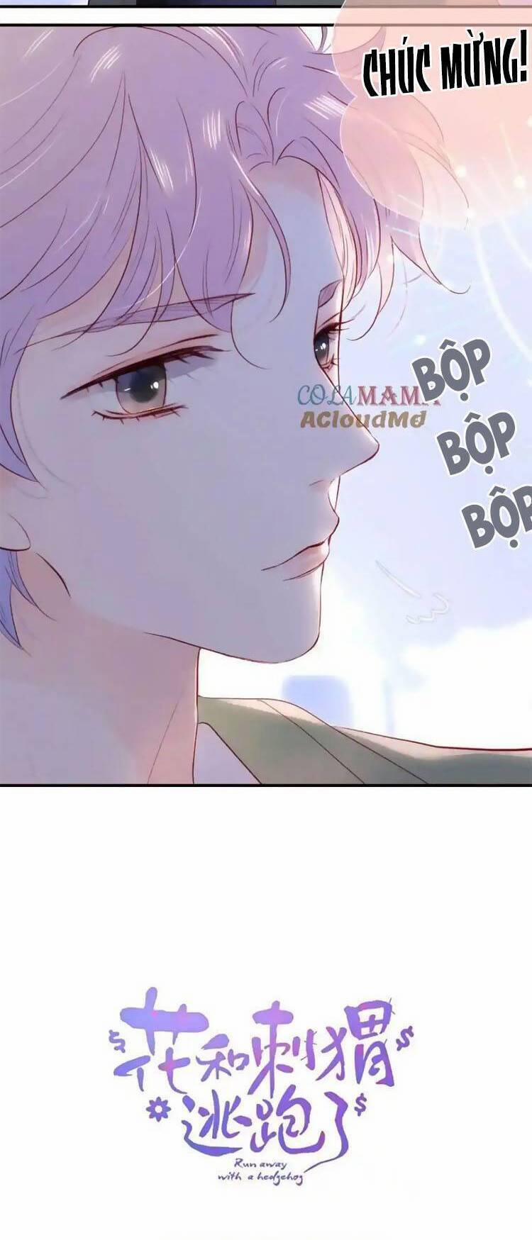 Hoa Bỏ Chạy Với Nhím Rồi 103.5 trang 2