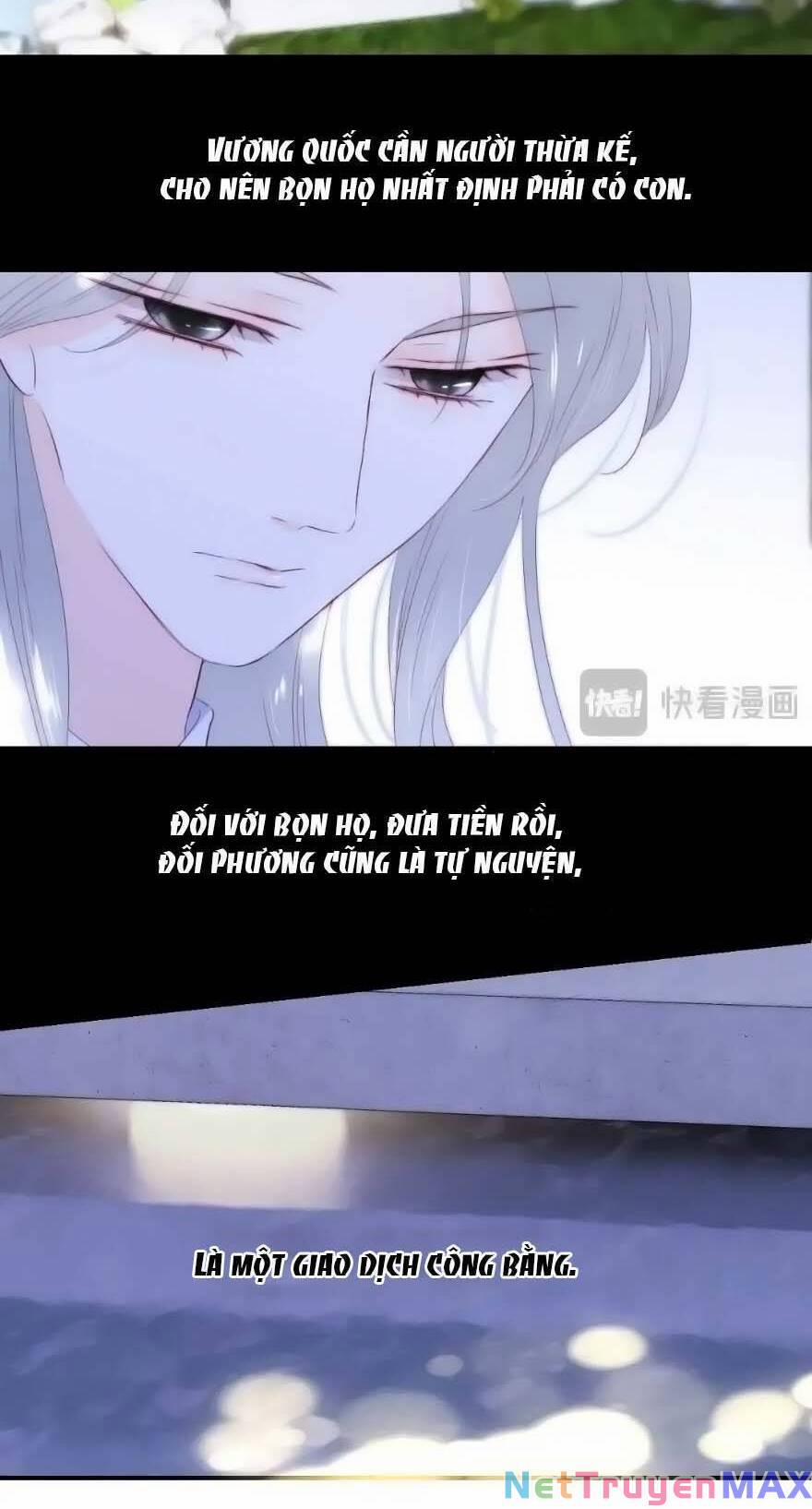 Hoa Bỏ Chạy Với Nhím Rồi 103 trang 18