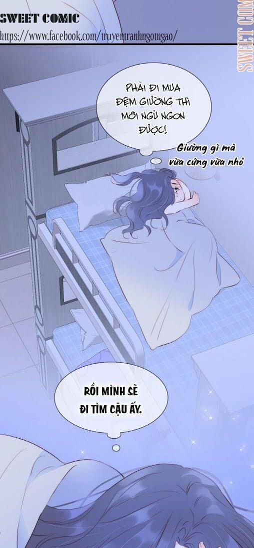 Hoa Bỏ Chạy Với Nhím Rồi 3 trang 19