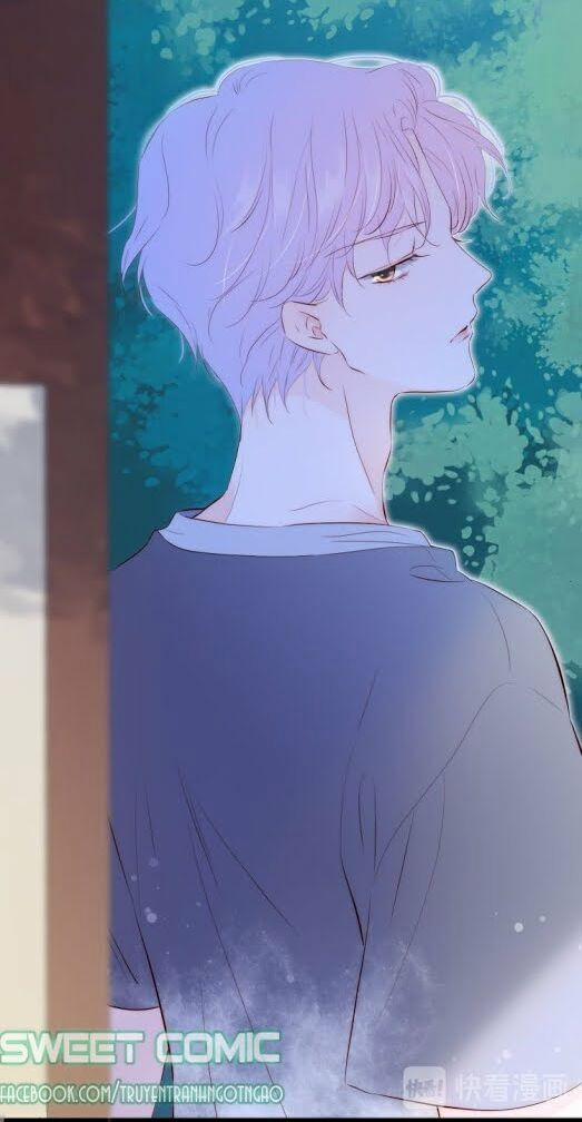 Hoa Bỏ Chạy Với Nhím Rồi 3 trang 8