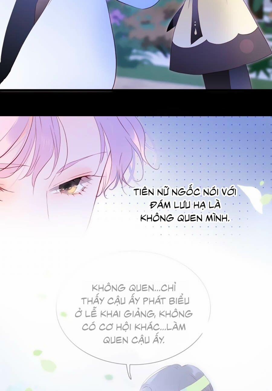 Hoa Bỏ Chạy Với Nhím Rồi 4.1 trang 18