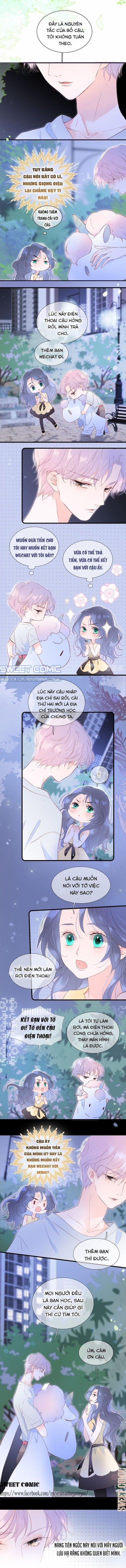 Hoa Bỏ Chạy Với Nhím Rồi 4 trang 3