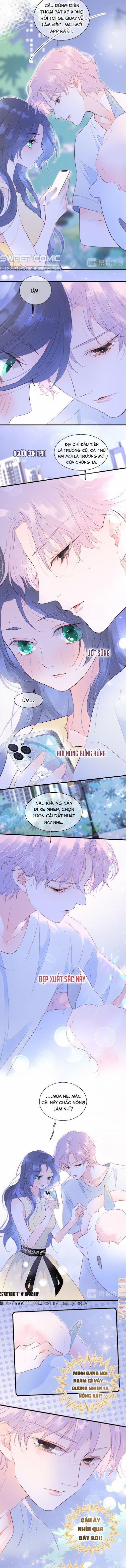 Hoa Bỏ Chạy Với Nhím Rồi 4 trang 5