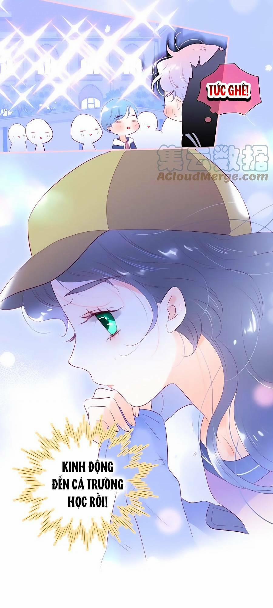 Hoa Bỏ Chạy Với Nhím Rồi 87 trang 3