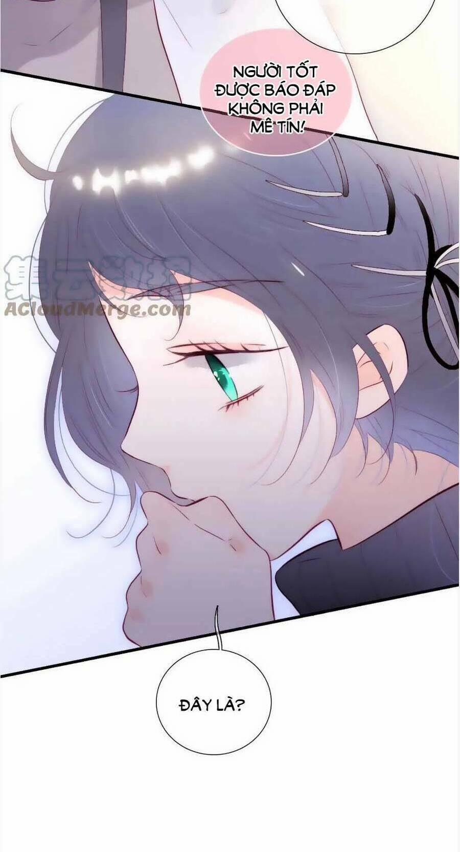 Hoa Bỏ Chạy Với Nhím Rồi 89 trang 8