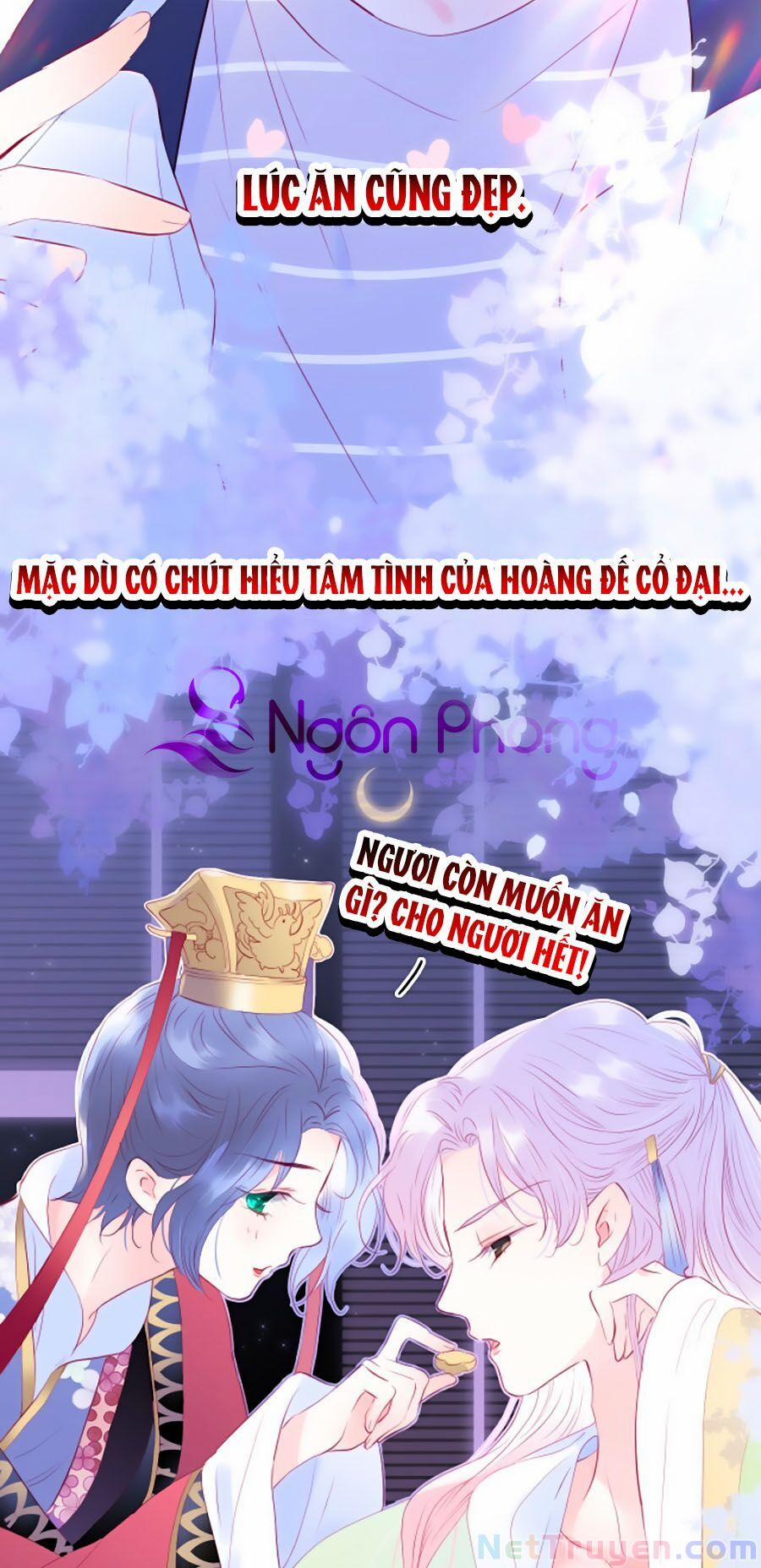 Hoa Bỏ Chạy Với Nhím Rồi 9 trang 4