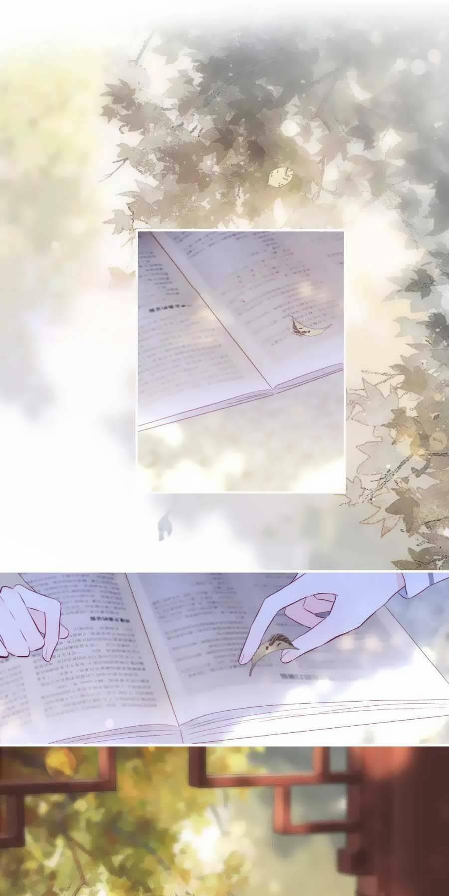 Hoa Bỏ Chạy Với Nhím Rồi 92 trang 1