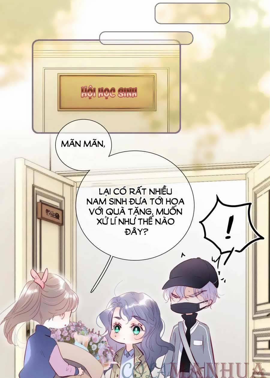 Hoa Bỏ Chạy Với Nhím Rồi 92 trang 13