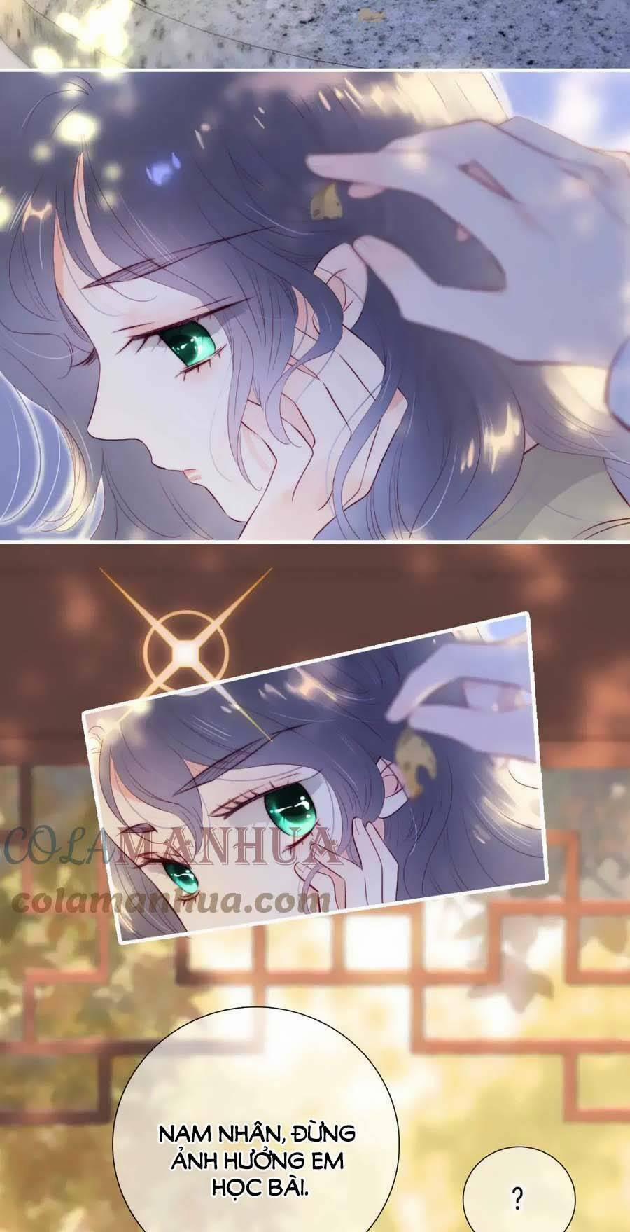 Hoa Bỏ Chạy Với Nhím Rồi 92 trang 3