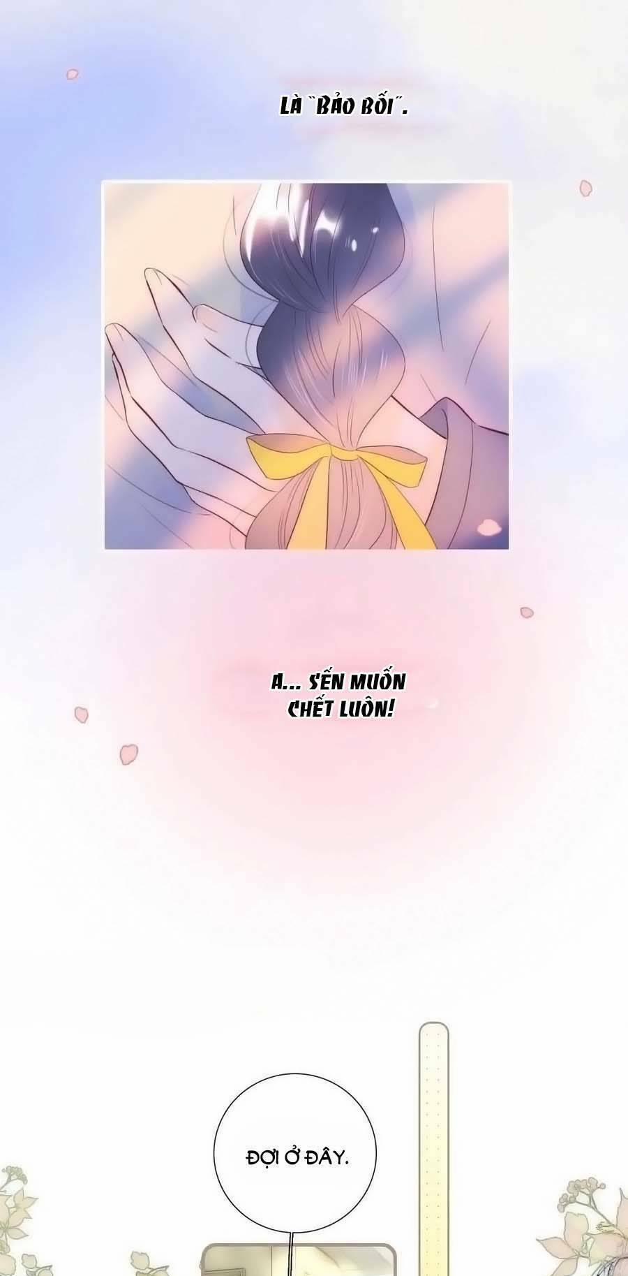 Hoa Bỏ Chạy Với Nhím Rồi 96 trang 20