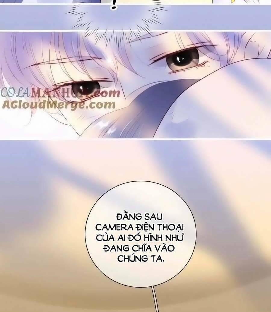 Hoa Bỏ Chạy Với Nhím Rồi 96 trang 9