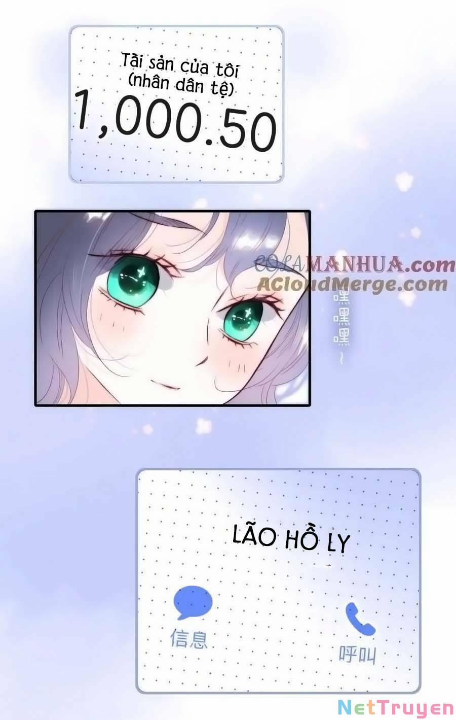 Hoa Bỏ Chạy Với Nhím Rồi 97 trang 1