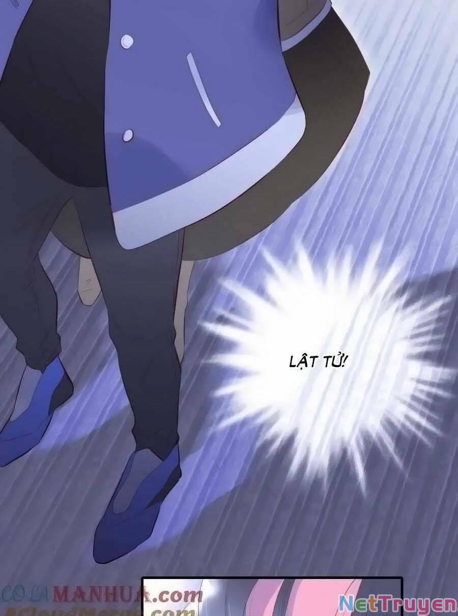 Hoa Bỏ Chạy Với Nhím Rồi 97 trang 25