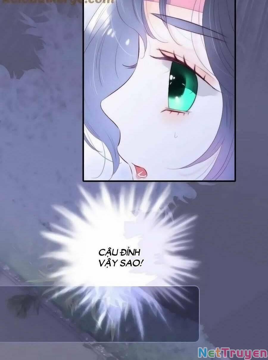 Hoa Bỏ Chạy Với Nhím Rồi 97 trang 26