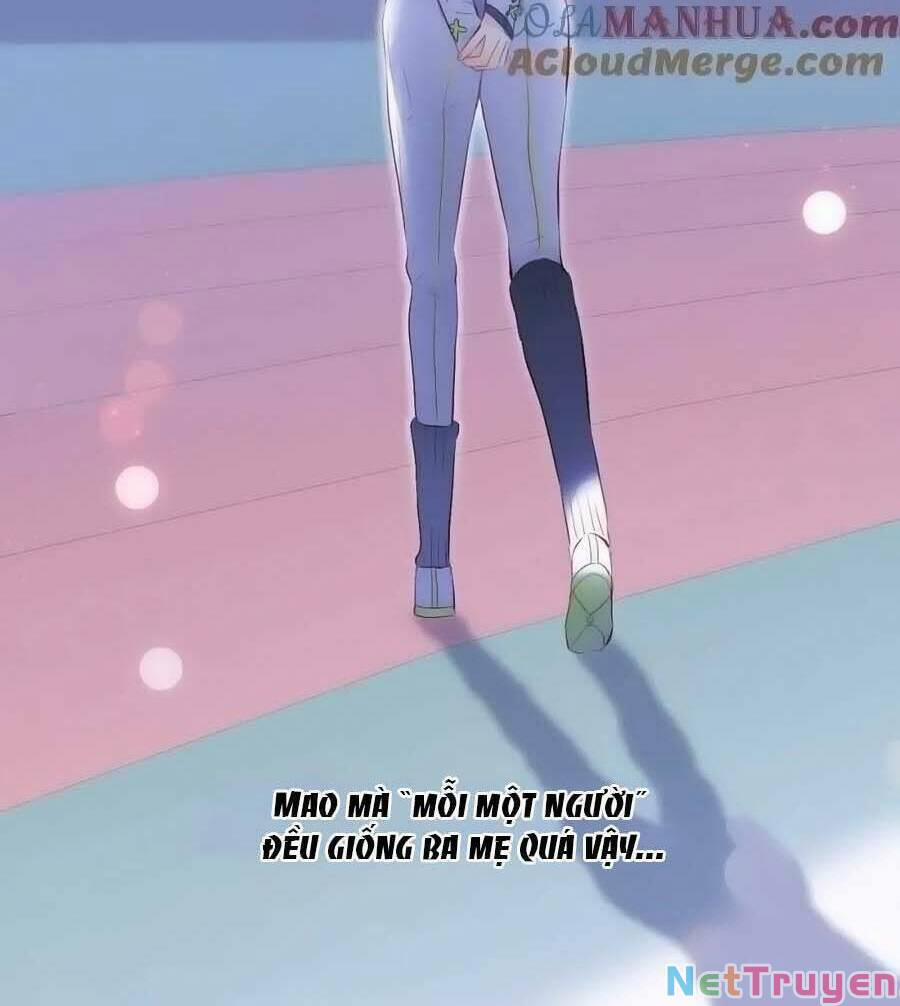 Hoa Bỏ Chạy Với Nhím Rồi 97 trang 36