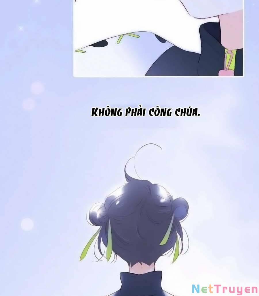 Hoa Bỏ Chạy Với Nhím Rồi 97 trang 39