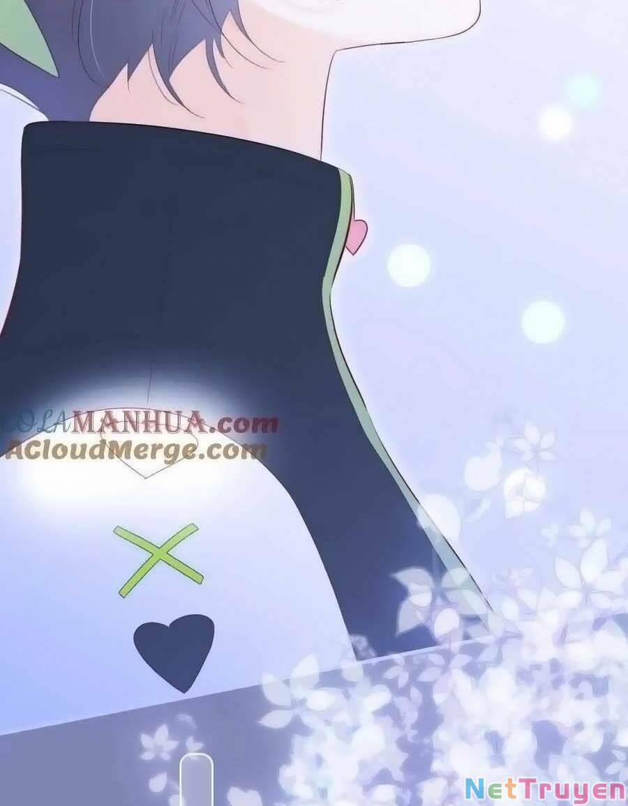 Hoa Bỏ Chạy Với Nhím Rồi 97 trang 45