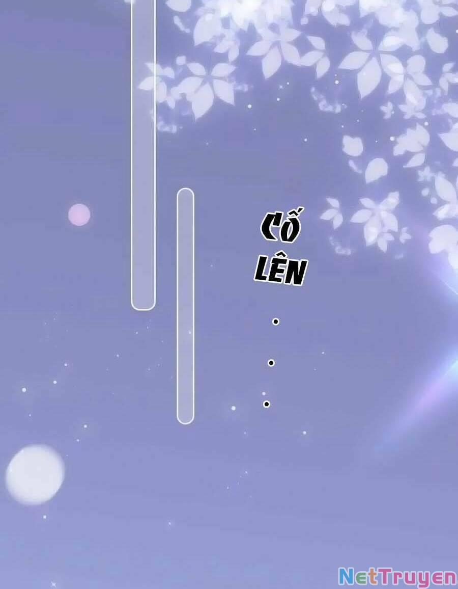 Hoa Bỏ Chạy Với Nhím Rồi 97 trang 46