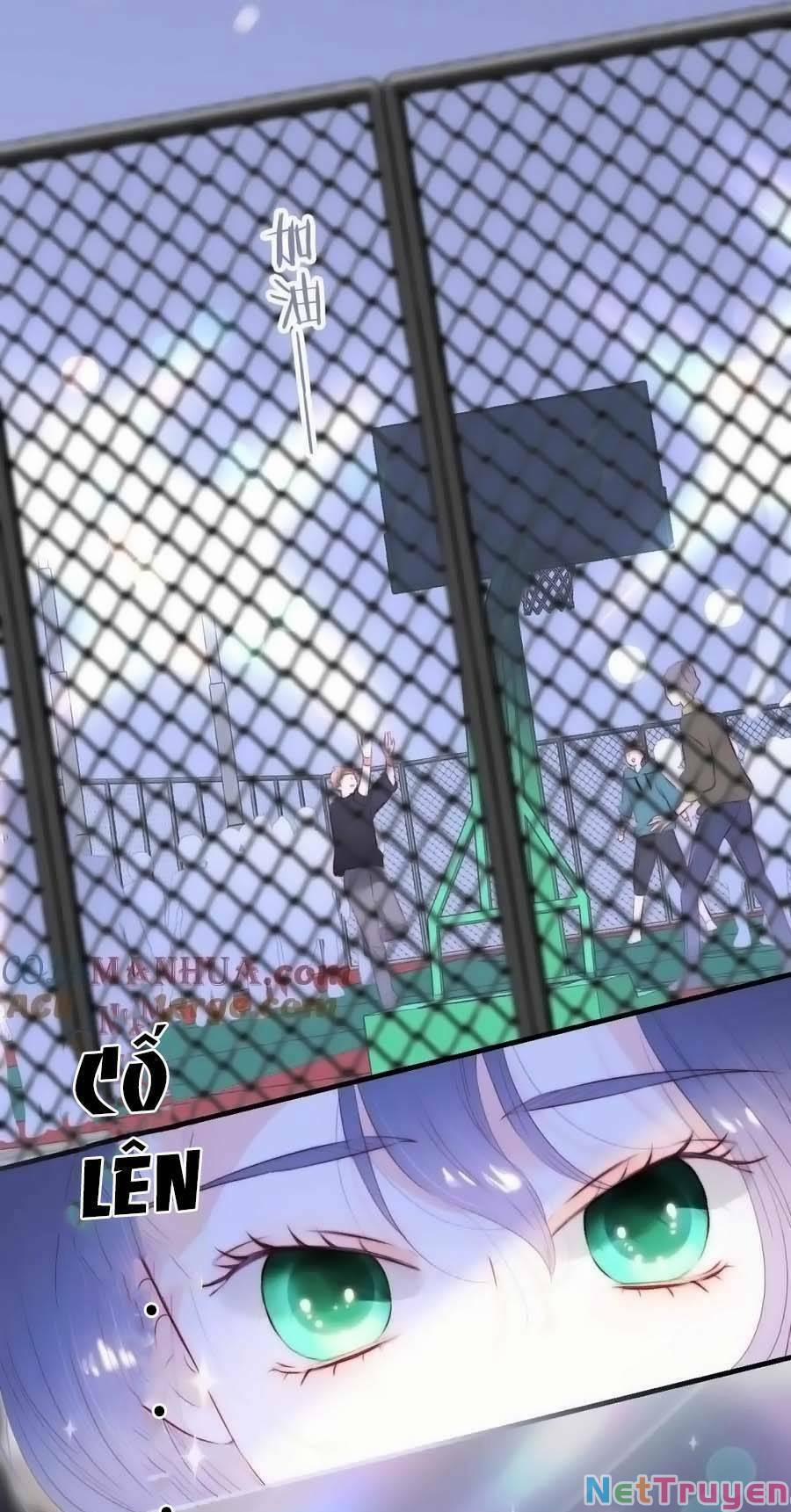 Hoa Bỏ Chạy Với Nhím Rồi 97 trang 47