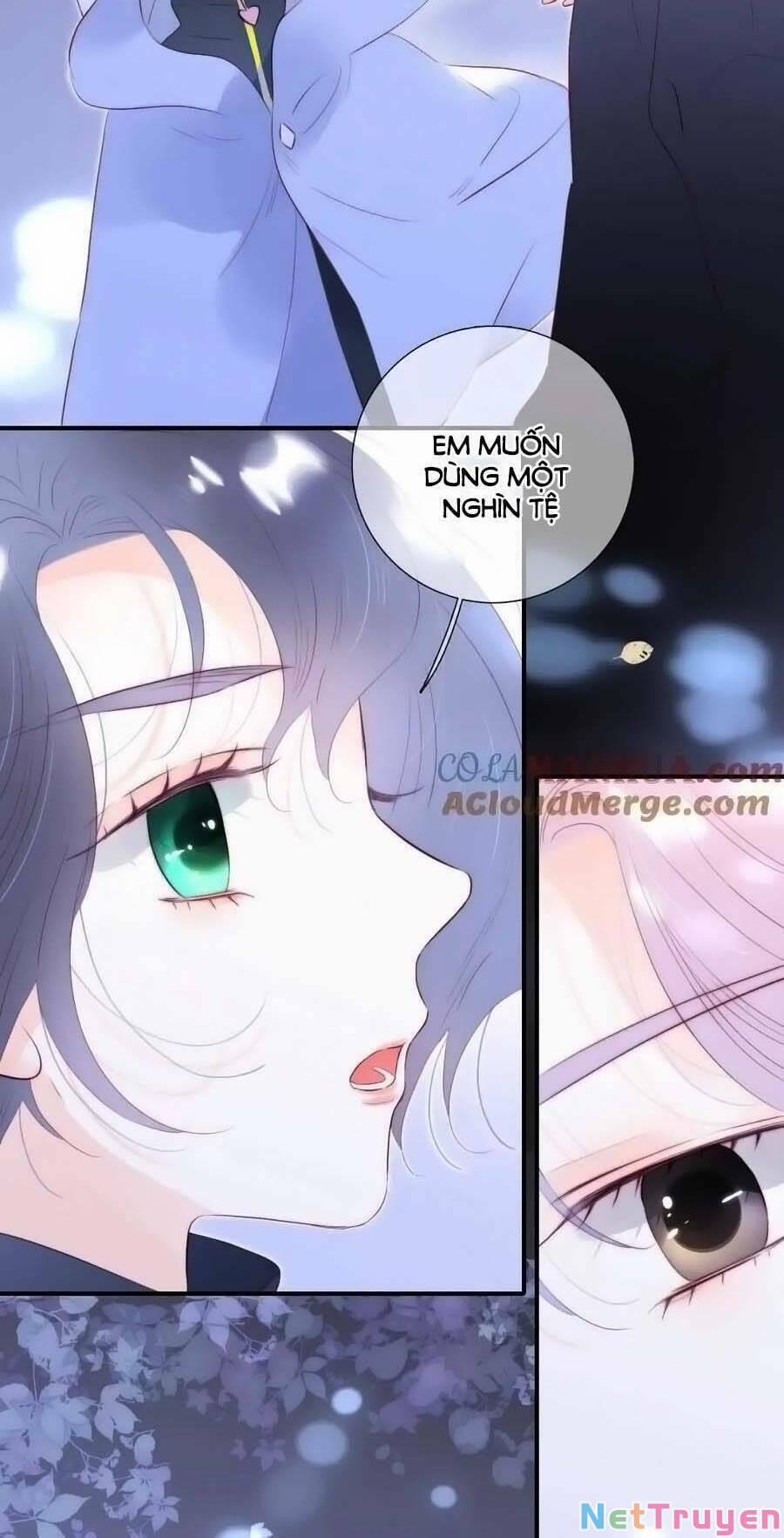 Hoa Bỏ Chạy Với Nhím Rồi 97 trang 52