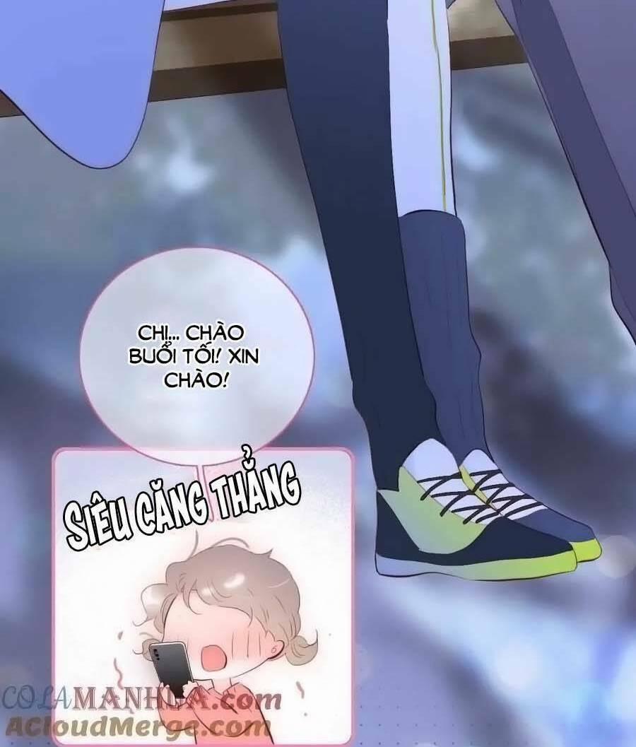 Hoa Bỏ Chạy Với Nhím Rồi 98 trang 31