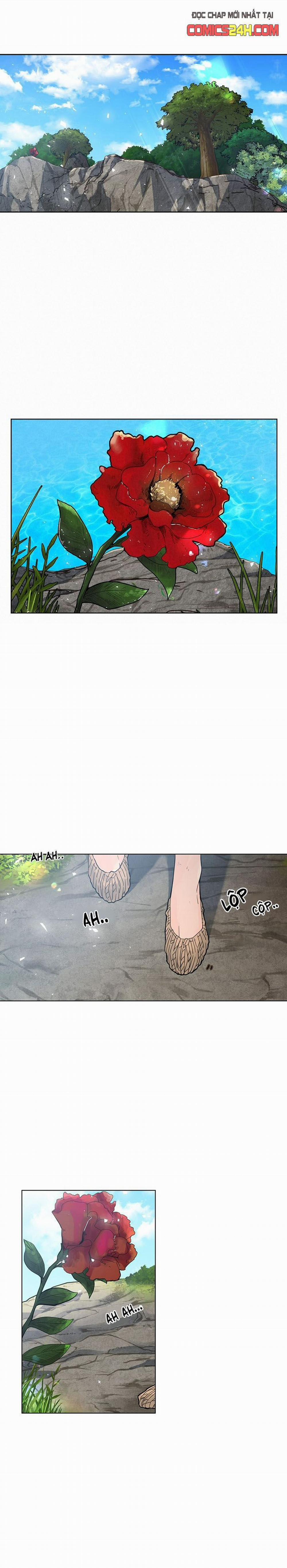 Hoa Giấy 0 trang 1