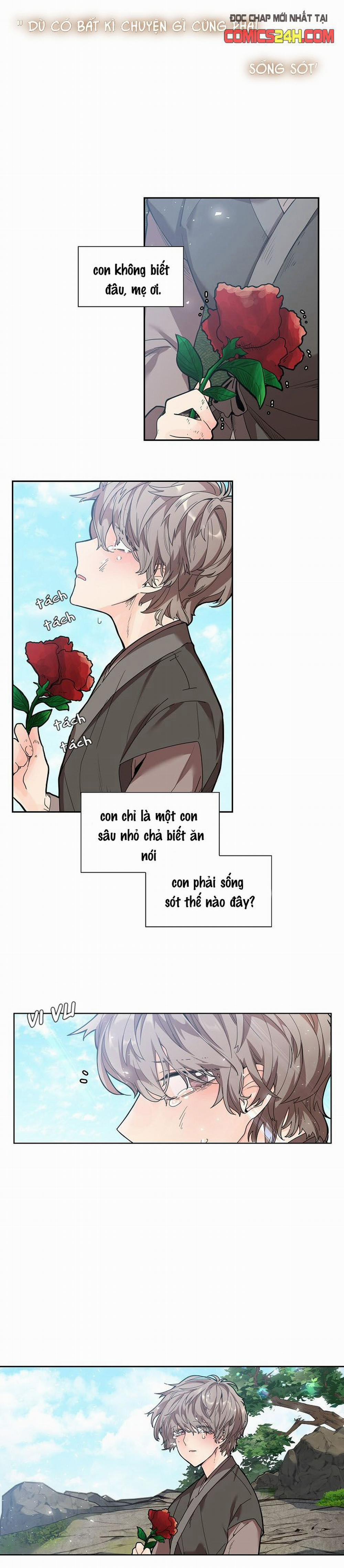 Hoa Giấy 0 trang 5