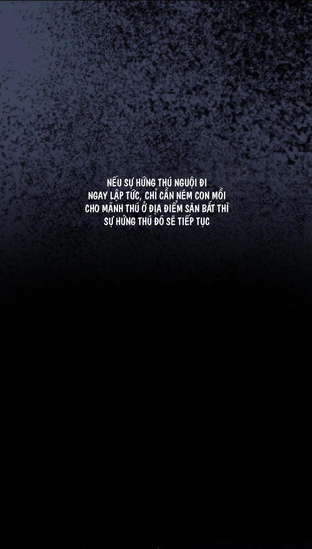 Hoa Giấy 48 trang 4