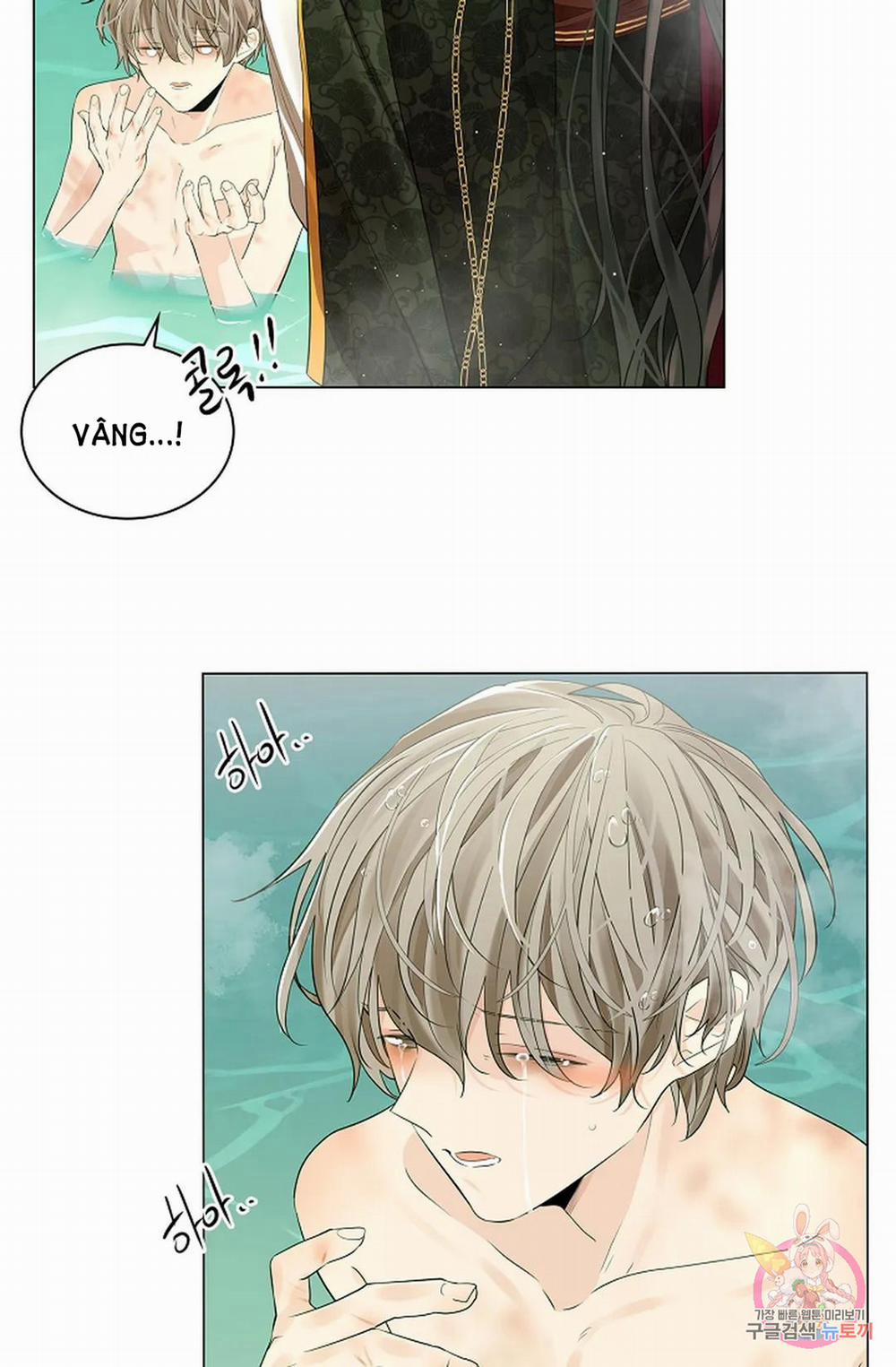 Hoa Giấy 49.2 trang 11