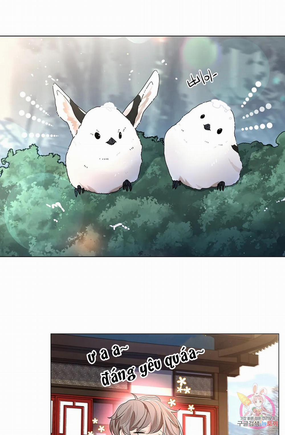 Hoa Giấy 52.1 trang 19