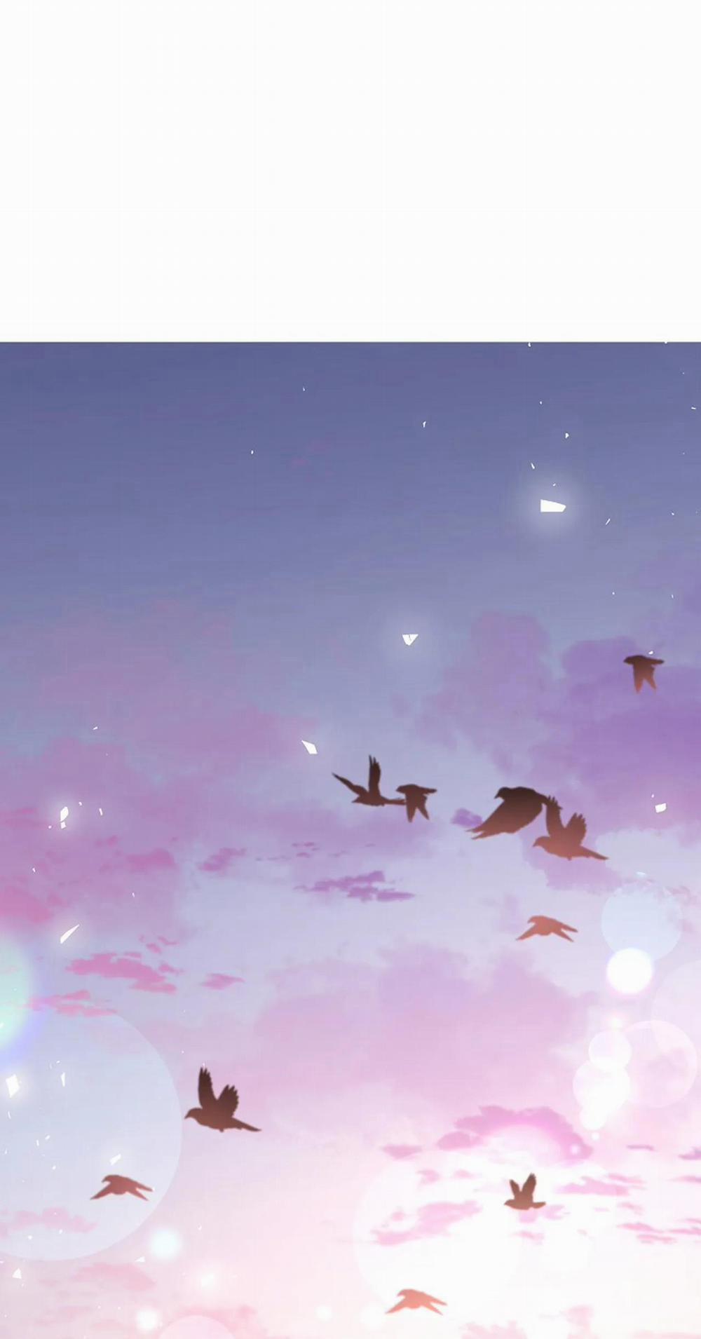 Hoa Giấy 55 trang 0