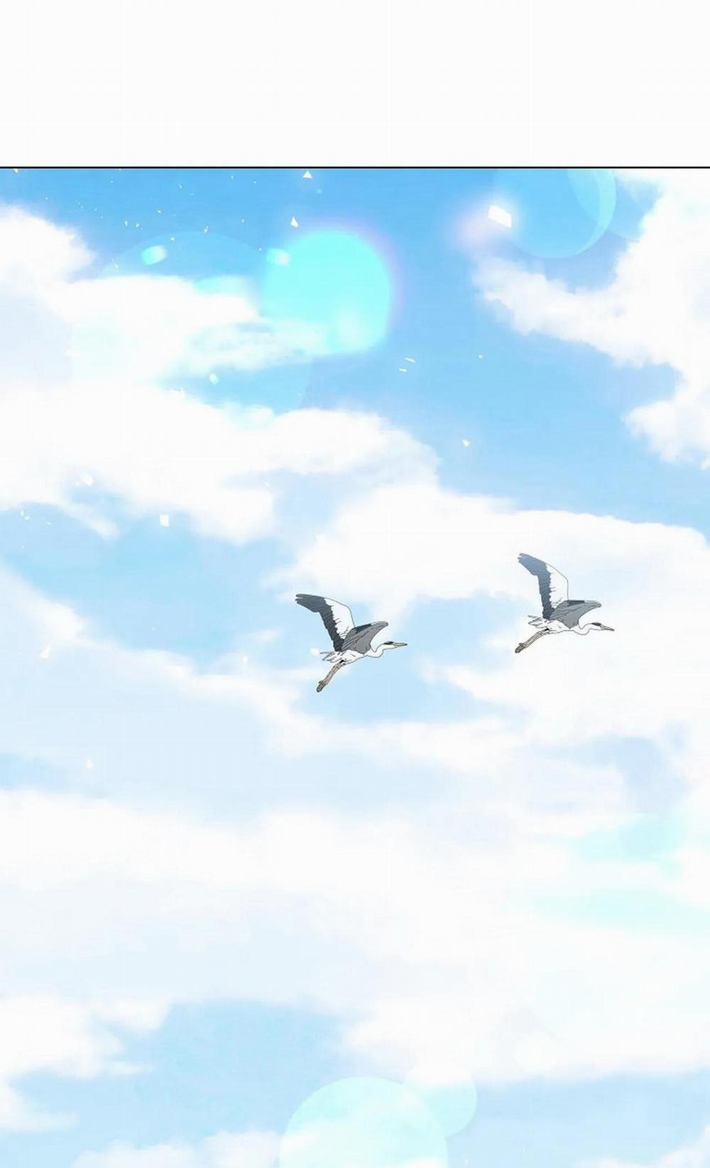 Hoa Giấy 55 trang 15