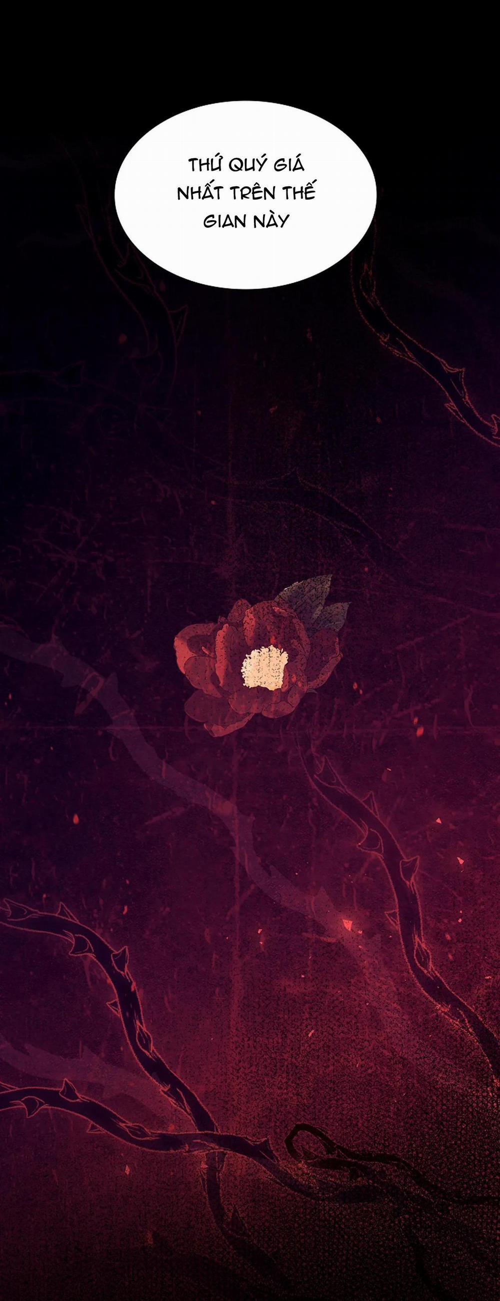 Hoa Giấy 65 trang 9