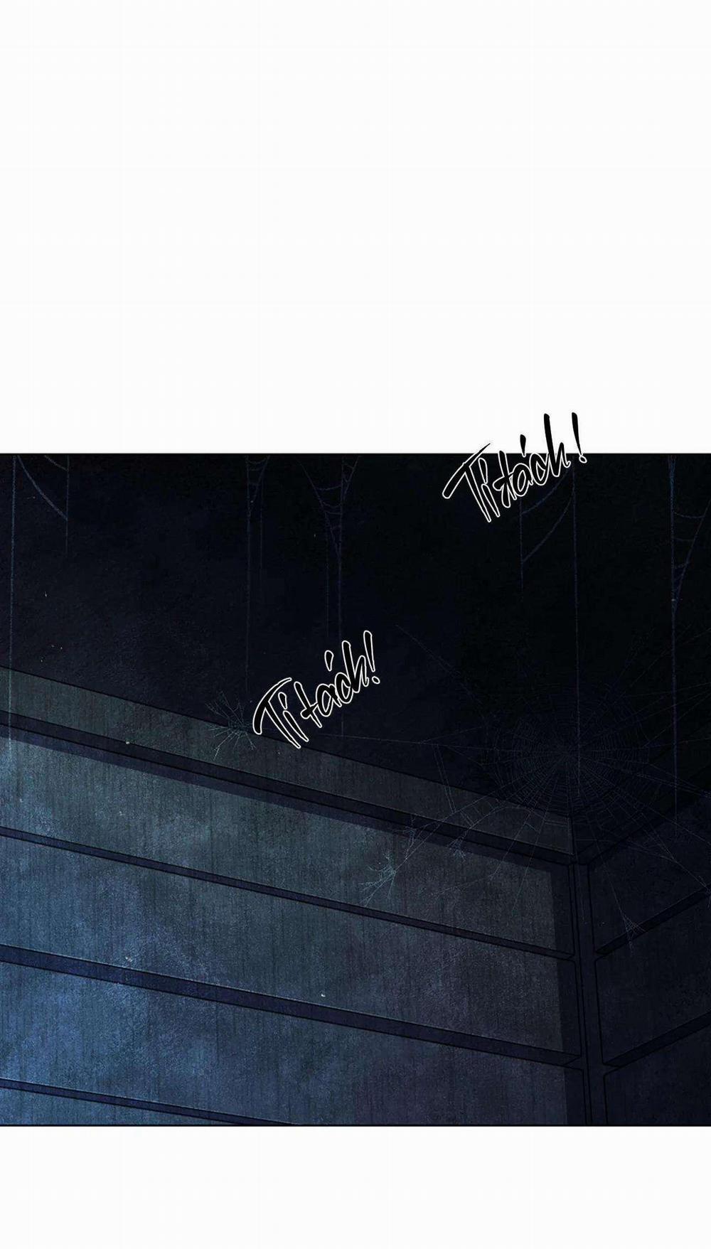 Hoa Giấy 72 trang 1