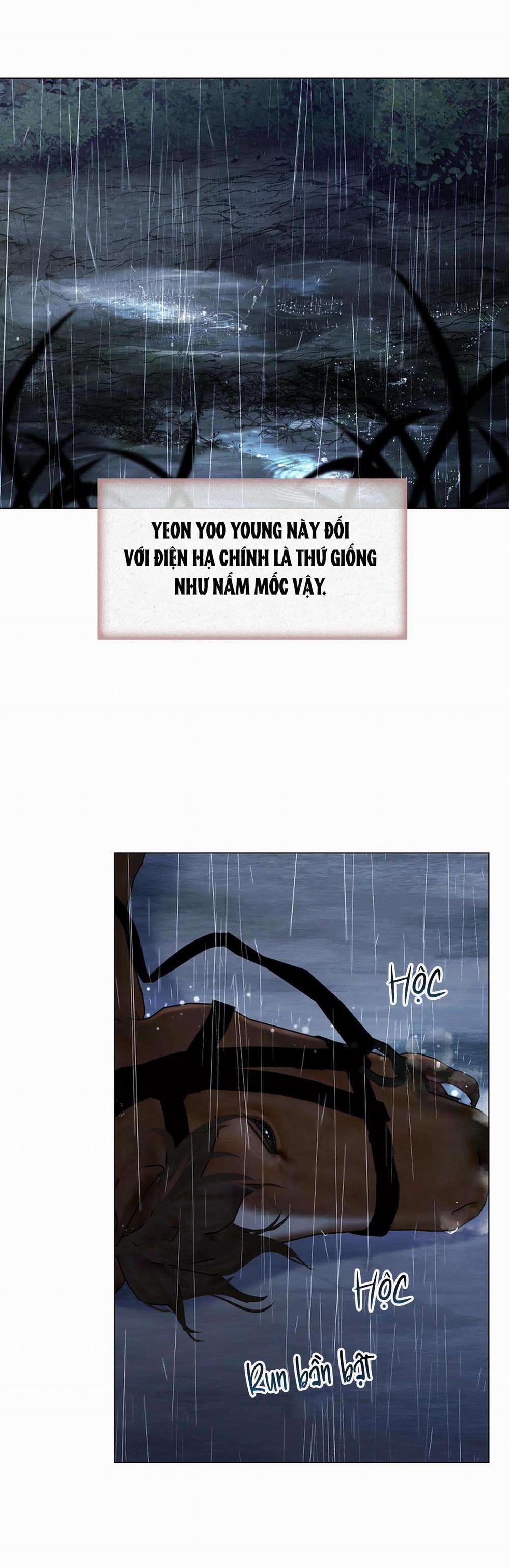 Hoa Giấy 73 trang 28