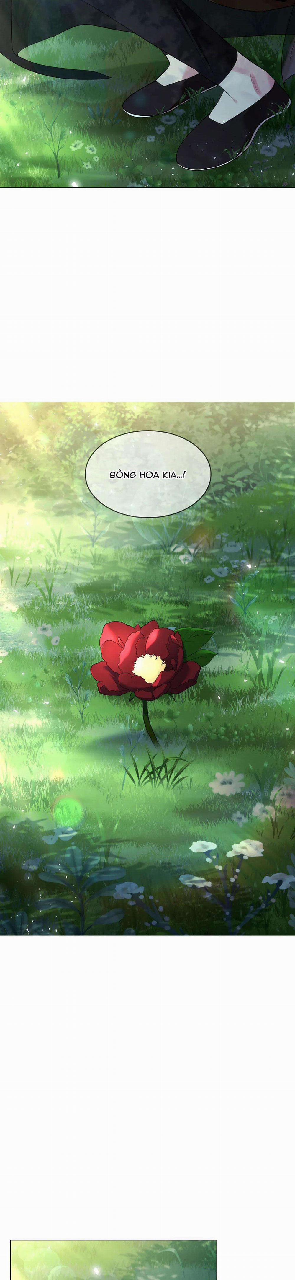 Hoa Giấy 76 trang 28