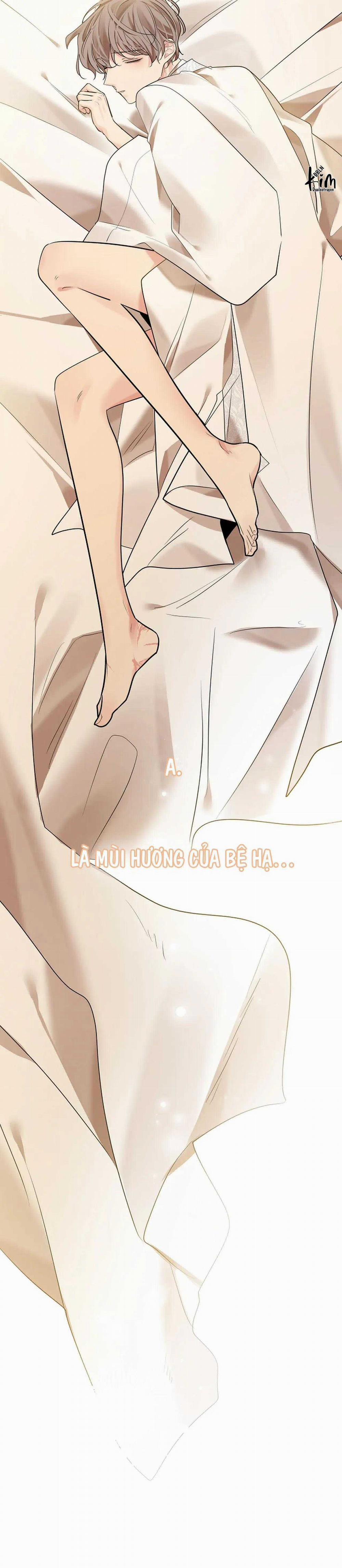 Hoa Giấy 81 trang 30