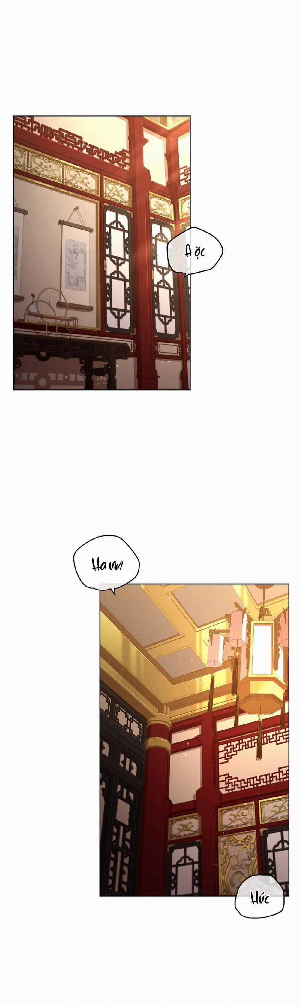 Hoa Giấy 90 trang 1