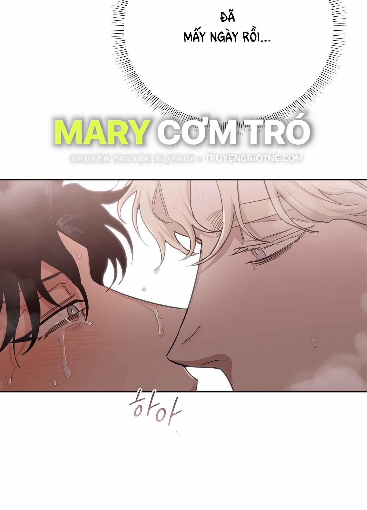 Hoa Hồng Và Ly Champagne 70.1 trang 27