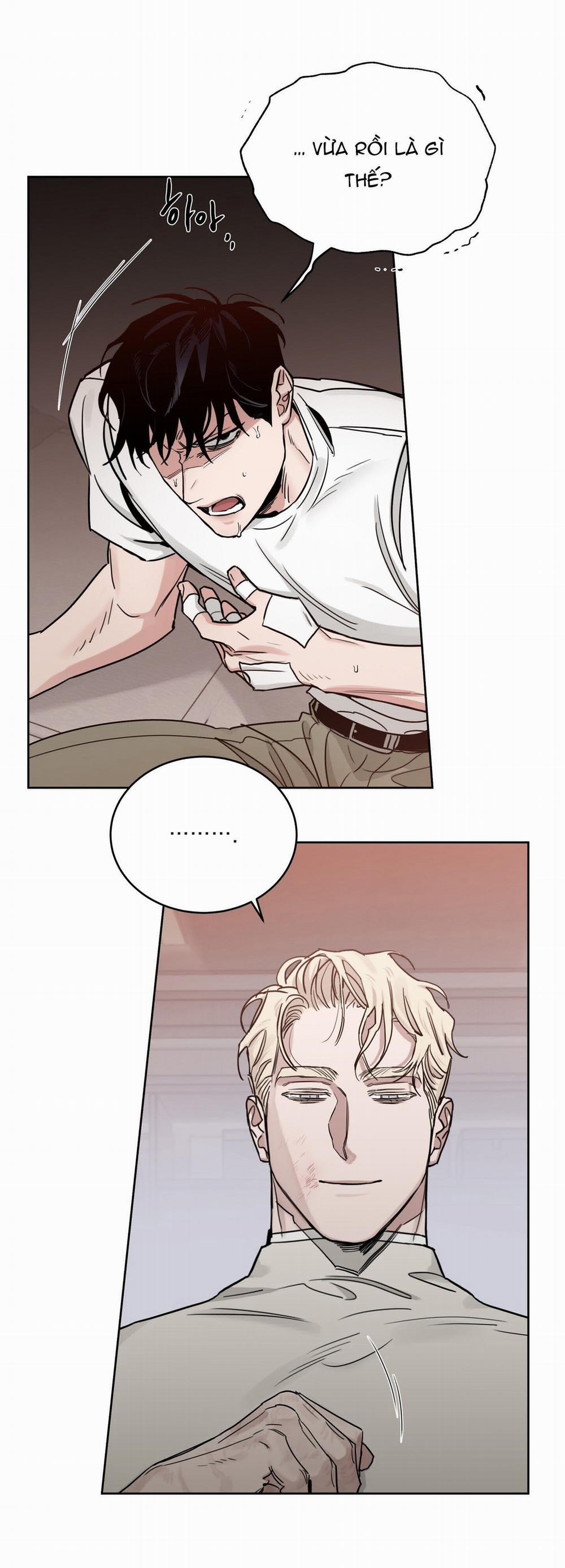 Hoa Hồng Và Ly Champagne 80.2 trang 22