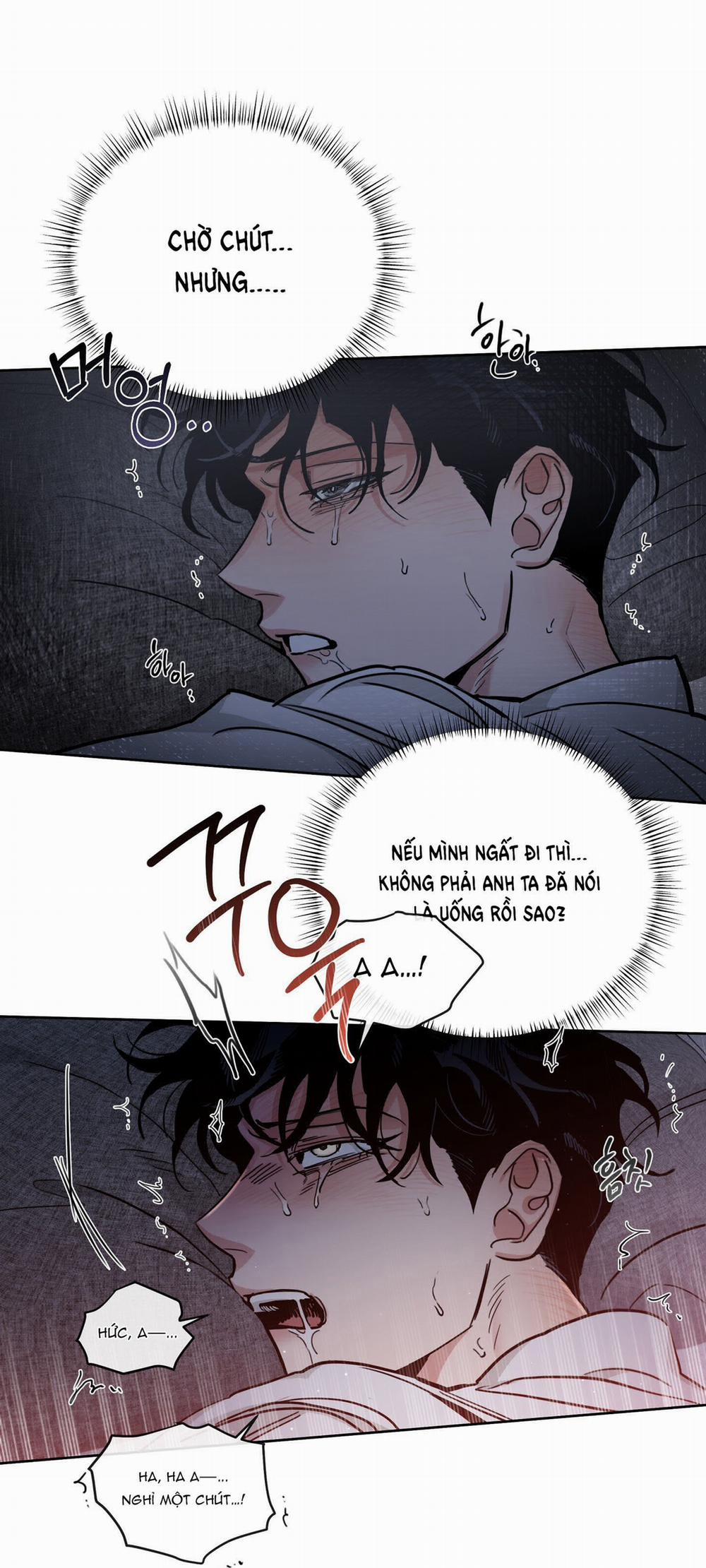 Hoa Hồng Và Ly Champagne 82.1 trang 23