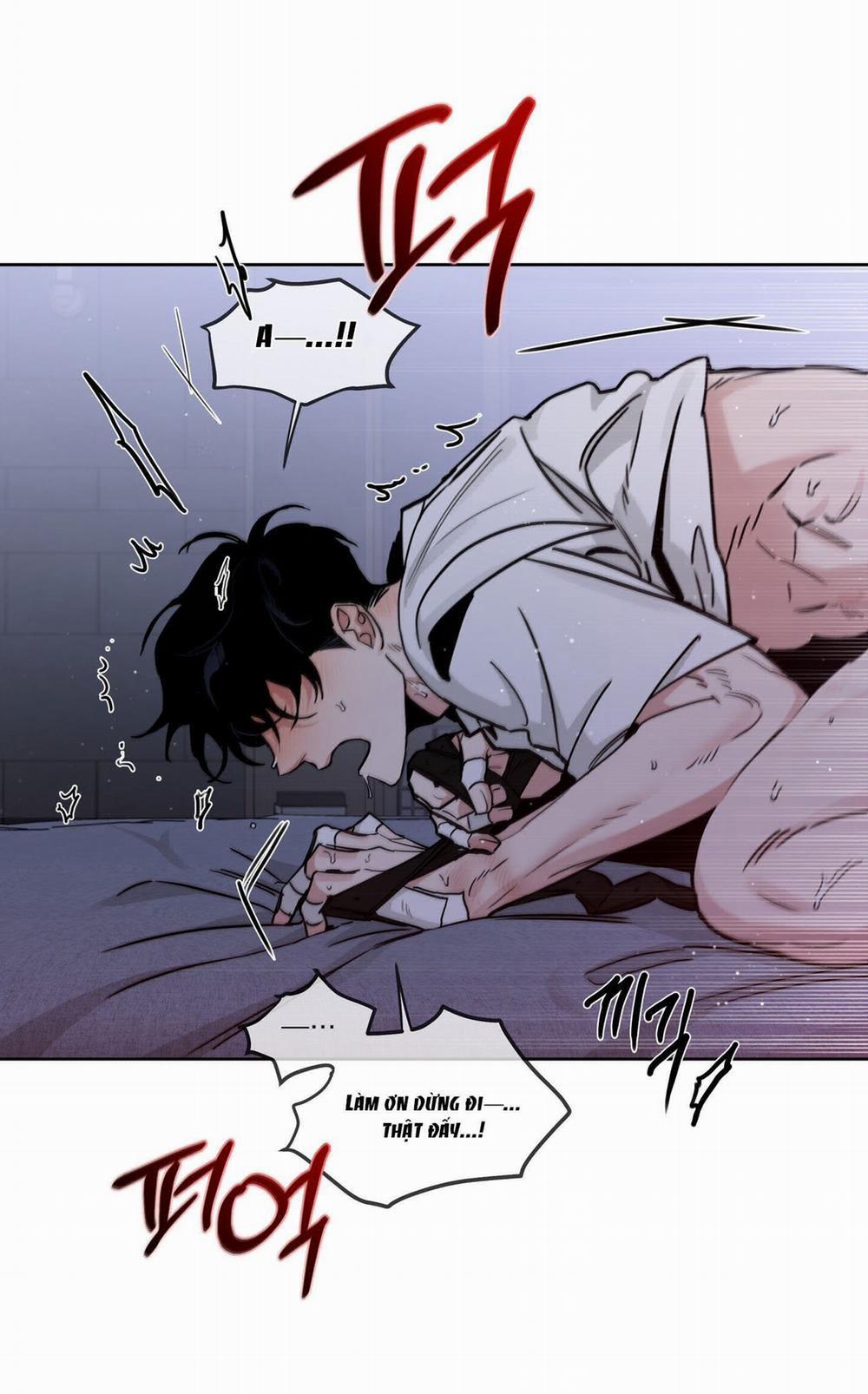 Hoa Hồng Và Ly Champagne 82.1 trang 5