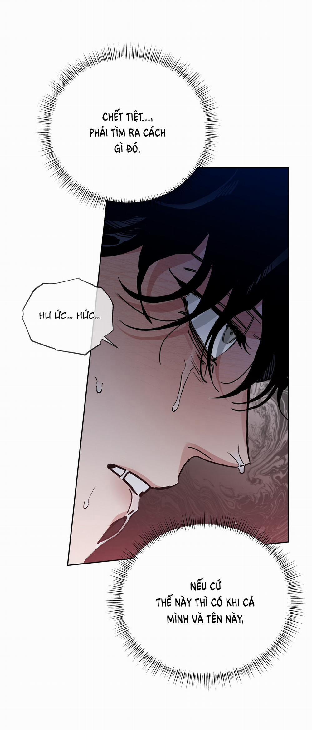 Hoa Hồng Và Ly Champagne 82.2 trang 0