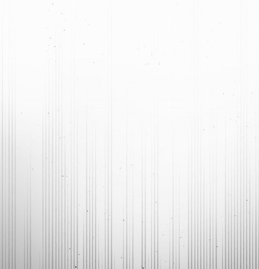 Hoa Hồng Và Ly Champagne 87.2 trang 40