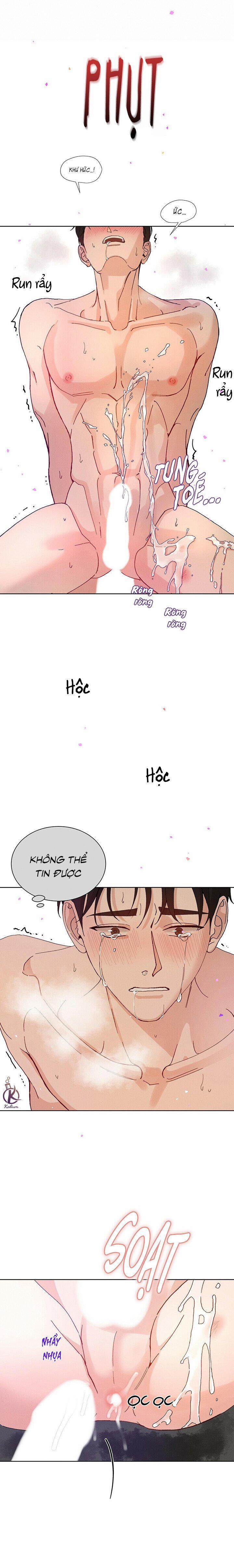 Hòa Hợp 3.5 trang 5