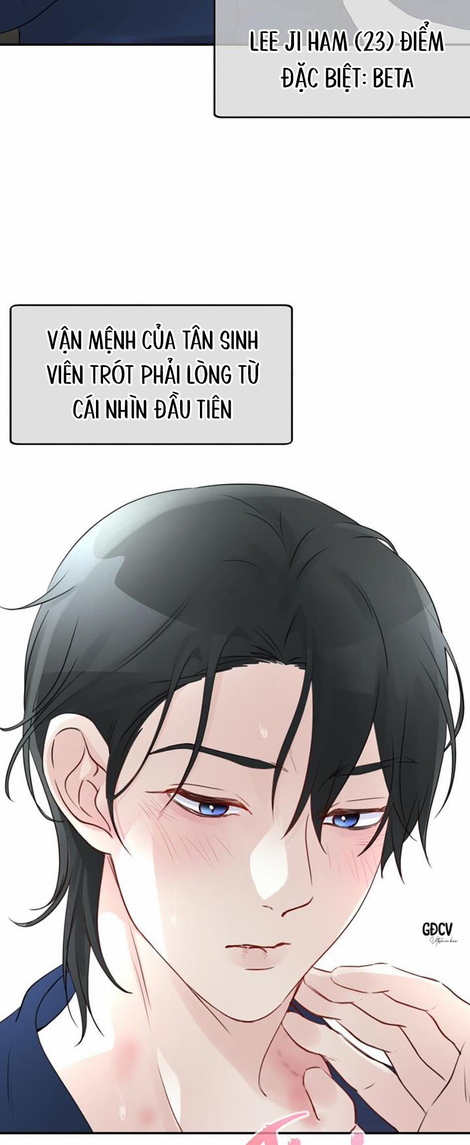 HOA KHÔNG HƯƠNG 0 Preview trang 7