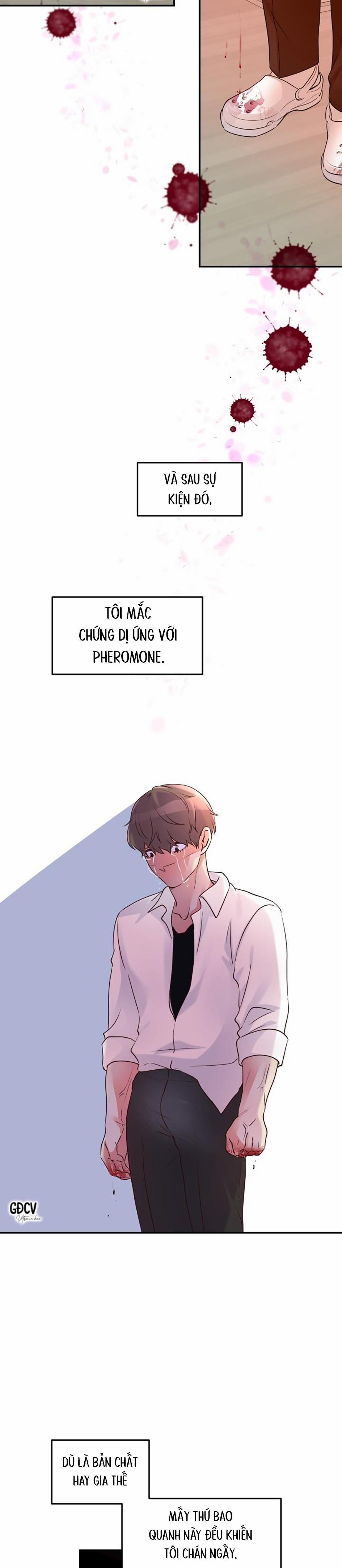 HOA KHÔNG HƯƠNG 1 H+ trang 22