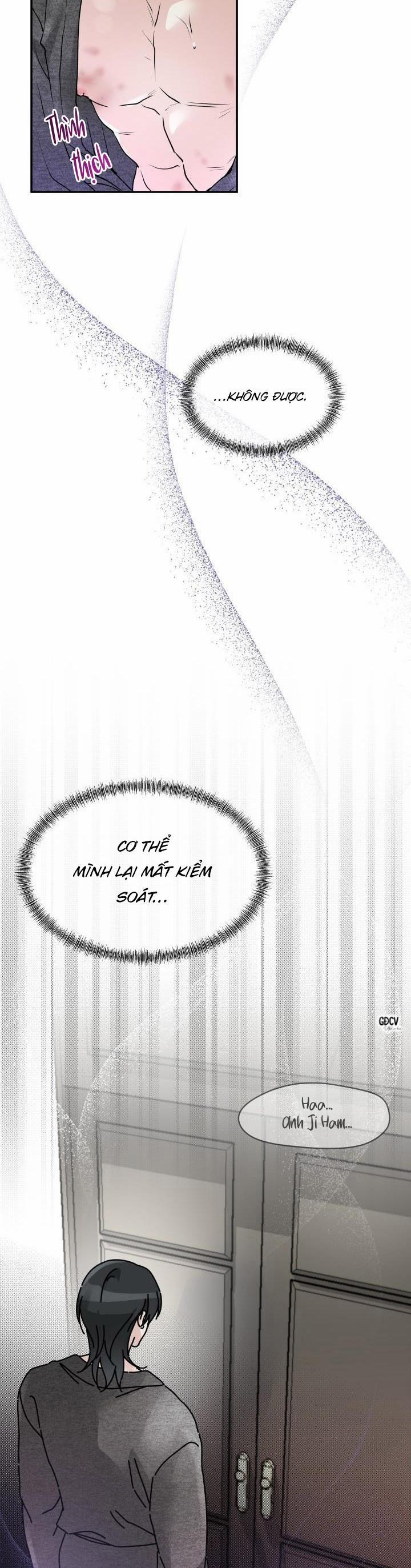 HOA KHÔNG HƯƠNG 7 0 trang 8