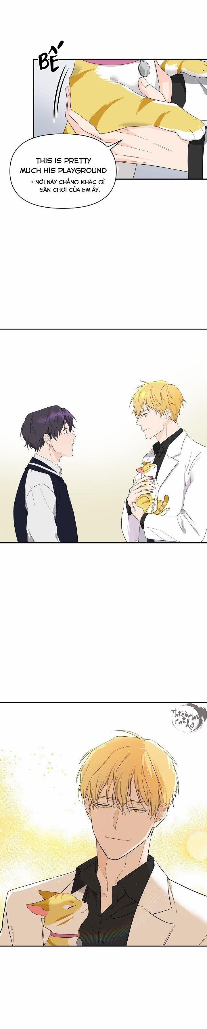 Hoa Ly Hổ 1 trang 12